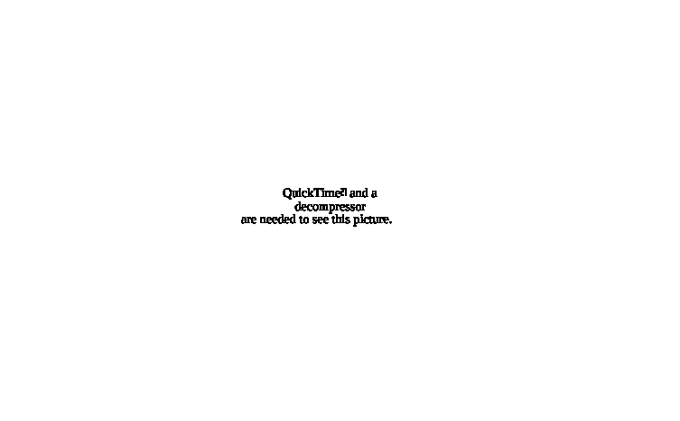 output_html_68485c4e.gif