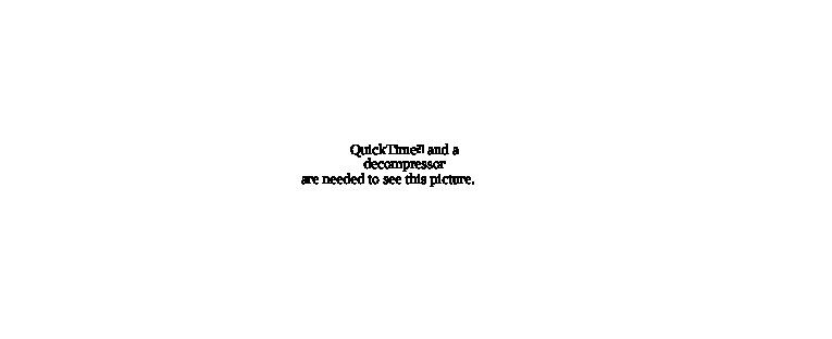 output_html_3d1614b2.gif