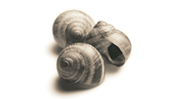 output_html_11243eb7.png