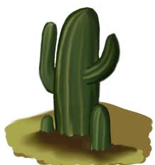 Cactus!