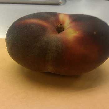 IMAG0236.jpg